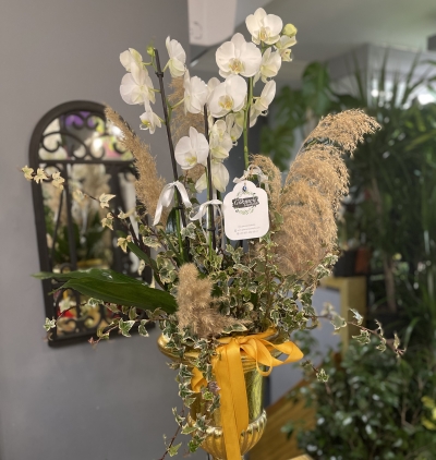 3 dallı dekoratif saksıda beyaz orkide Çiçeği & Ürünü Dekoratif Saksıda 3 Dallı Beyaz Orkide 