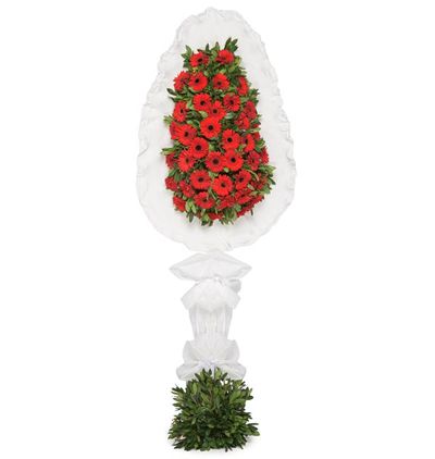 beyaz gerbera sepet/Çelenk Çiçeği & Ürünü Kırmızı Gerbera Sepet/Çelenk 