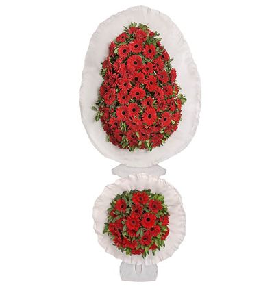 beyaz gerbera sepet/Çelenk Çiçeği & Ürünü Kırmızı Gerbera İkili Sepet/Çelenk 
