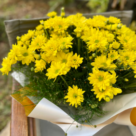  Antalya Çiçek Sarı Krizantem Buketi
