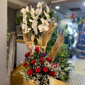  Antalya Çiçekçiler Dekoratif Saksıda Kırmızı Gül Aranjmanlı Beyaz Orkide