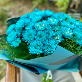  Antalya Çiçek Siparişi Mavi Krizantem Buketi